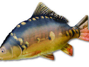Stofftier Karpfen 64cm