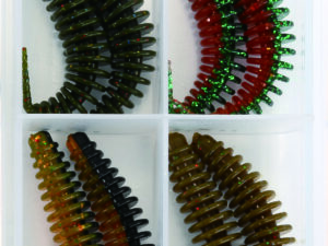 Colorado Ecoworm MIX 3, 5cm SB12