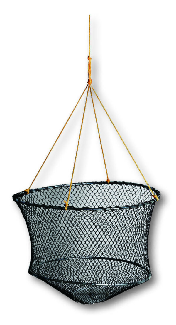 Krebsteller 30cm 1St.