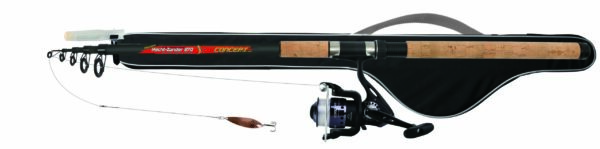 Combo Concept Hecht/Zander Spin 270 cm