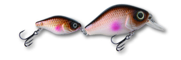 TF Wobbler Double Trouble Maxi WF 22cm SB1