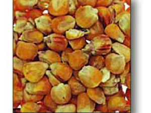 Maiskörner 1kg
