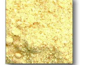 Knoblauchbisquit 1kg
