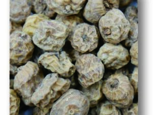 Tigernüsse Mix 6-22mm, 750g