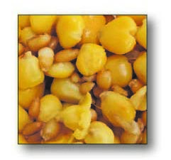 Futterpartikel Alfa Mix, 1 kg