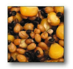 Futterpartikel Holiday Mix, 1 kg