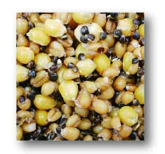 Futterpartikel Eldorado Mix 250g