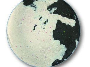 Trout Bait 60g, float,Schw-Weiß/ Marshmallow 1St